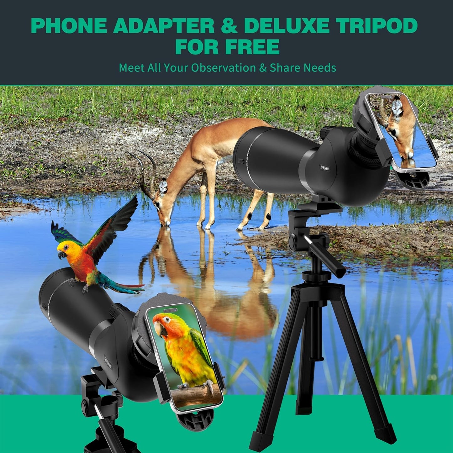 Gosky 20-60x80 Spotting Scope with Phone Adapter, Dual Focusing Waterproof Spotting Scopes for Target Shooting Bird Watching Hunting Wildlife Safari Viewing, BAK4 FMC Spotter Scope with Carrying Case